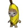fozobandi