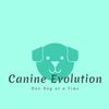 canine_evolution