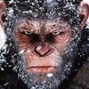 theamericanape