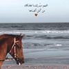 abdalah_36