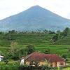 hendraapratamaa46