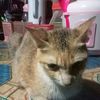 lempung92