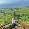 marselaputri468gmail.com