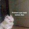 caramelo_054