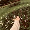 thaara012
