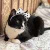 nataly_19827