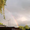 angeles_z15