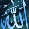 user3520532472835
