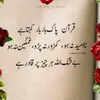 atee8255