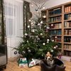 annija929