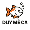 duy.meca