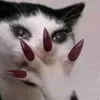mom12389