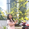 cherryngoc26