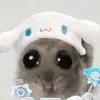 oimdg