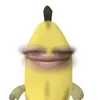 fayrianac