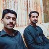 alijan8311
