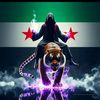 walidkasir