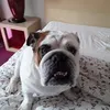 joellemgn0