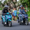 firlap_07