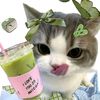 zwhisky_