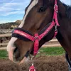 lav_eq
