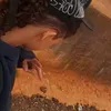 sapa_pjl