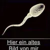 bollerkopf2
