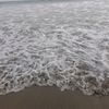 annittha789_
