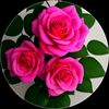 user931997289