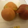 antoniogarcial455