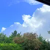 onlynaturalview
