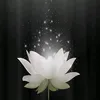 nguyenhaidang236
