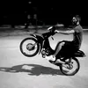 nikanoracc7