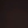 aron_slp