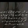 mustafa03111