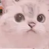 jptn4