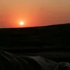 bashar1979h