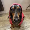 roserael14