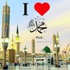 mirzagm433