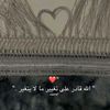 8shaheen