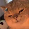 trn.i.nguyn6