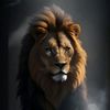 mohamed.kamal25