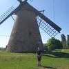gergo8_