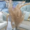 ahlam00700