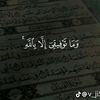 user439113460940