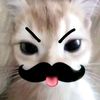 rizz_sigma33