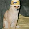 dogelememe