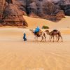 hassane87