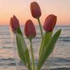 betweenhorizon_0