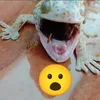 dedesntb
